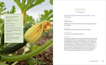 Raised-Bed Gardening for Beginners: Your Guide to Growing Sustainability and Self-Sufficiency