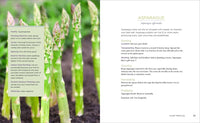 Raised-Bed Gardening for Beginners: Your Guide to Growing Sustainability and Self-Sufficiency