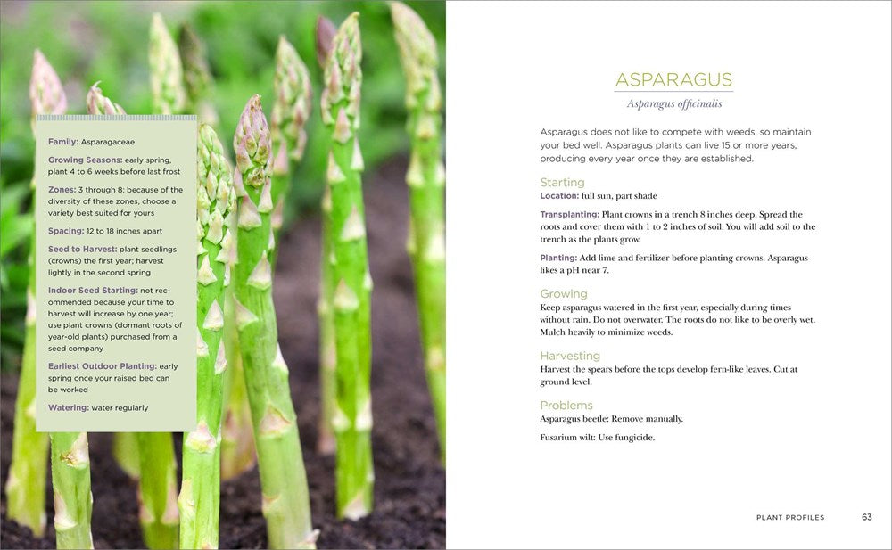 Raised-Bed Gardening for Beginners