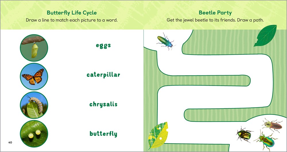 The Backyard Bug Book for Kids: Storybook, Insect Facts, and Activities (Let's Learn About Bugs and Animals)