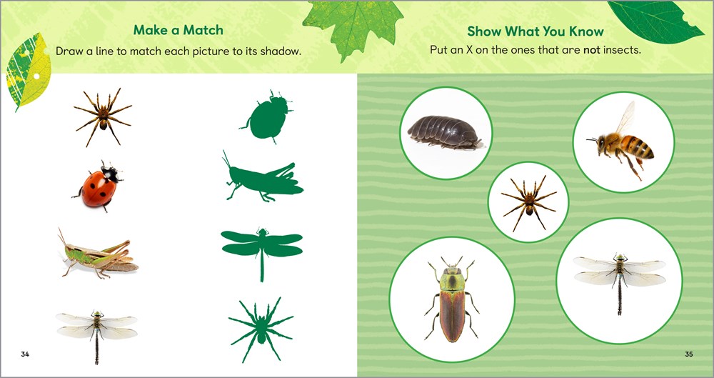 The Backyard Bug Book for Kids