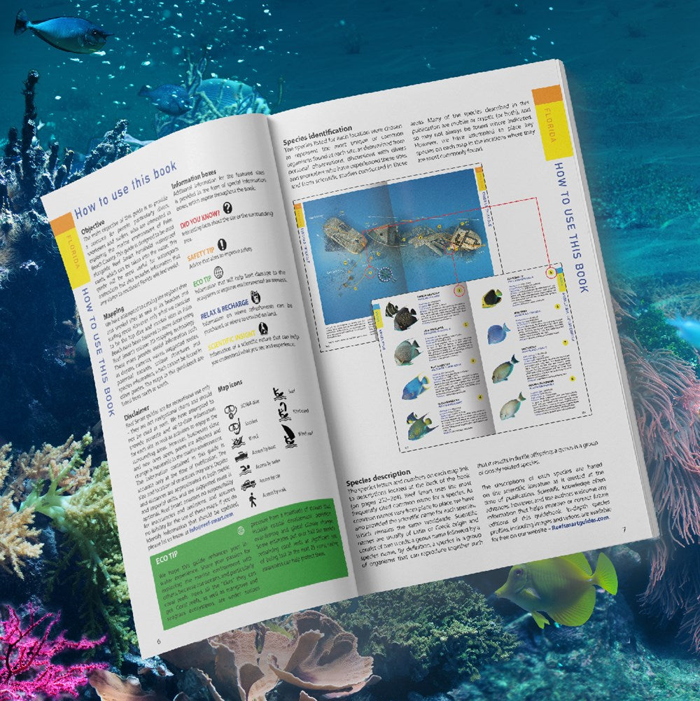 Reef Smart Guides Grand Cayman