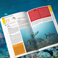 Reef Smart Guides Grand Cayman