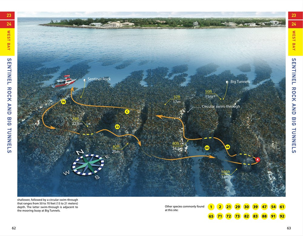 Reef Smart Guides Grand Cayman