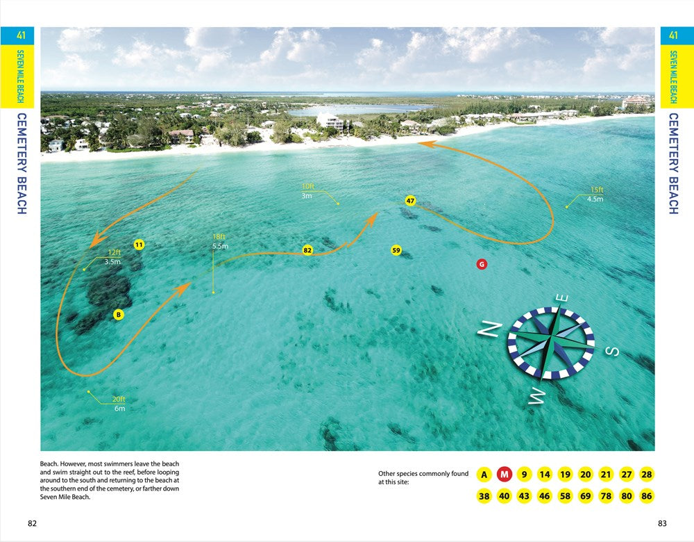 Reef Smart Guides Grand Cayman