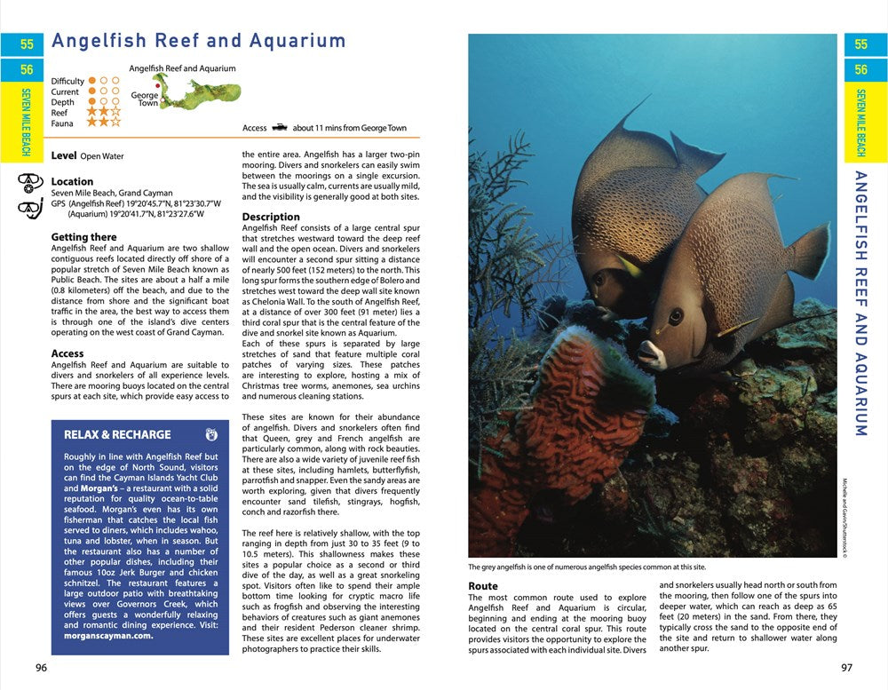 Reef Smart Guides Grand Cayman