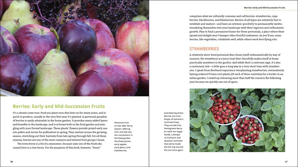 Plant Grow Harvest Repeat