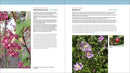 The Pacific Northwest Native Plant Primer