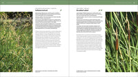 The Pacific Northwest Native Plant Primer
