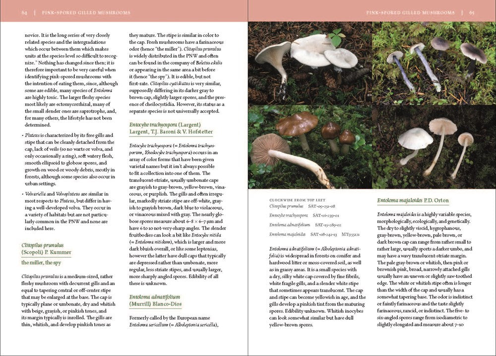 Mushrooms of the Pacific Northwest, Revised Edition