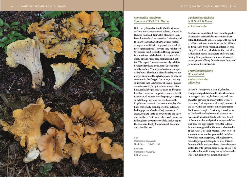 Mushrooms of the Pacific Northwest, Revised Edition