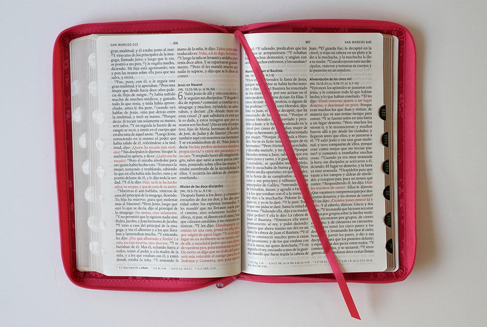 Biblia Reina Valera 1960 letra grande. Símil piel fucsia, cremallera, índice, manual / Spanish Bible RVR 1960. Handy Size, Large Print, Leathersoft (Spanish Edition)