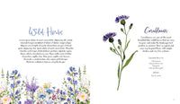 Wildflower Watercolor: The Beginner's Guide to Painting Beautiful Florals