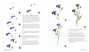 Wildflower Watercolor: The Beginner's Guide to Painting Beautiful Florals