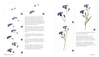 Wildflower Watercolor: The Beginner's Guide to Painting Beautiful Florals