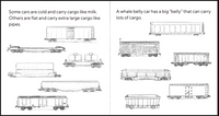 Trains Coming Through!: My First Book of Trains