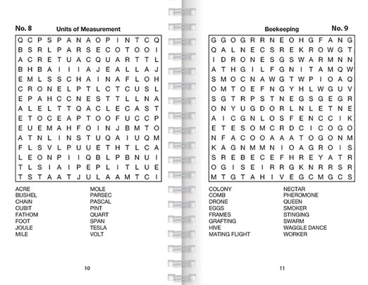 Word Search Puzzles (Big Book of Puzzles) (Brain Busters)