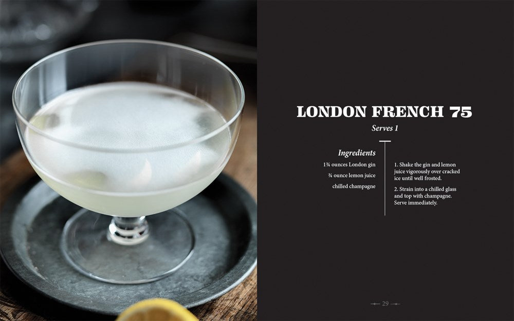 The Art of Mixology: Bartender's Guide to Gin