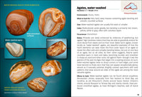 Lake Superior Rocks & Minerals Field Guide