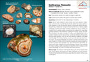 Lake Superior Rocks & Minerals Field Guide