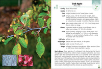 Trees of the Carolinas Field Guide