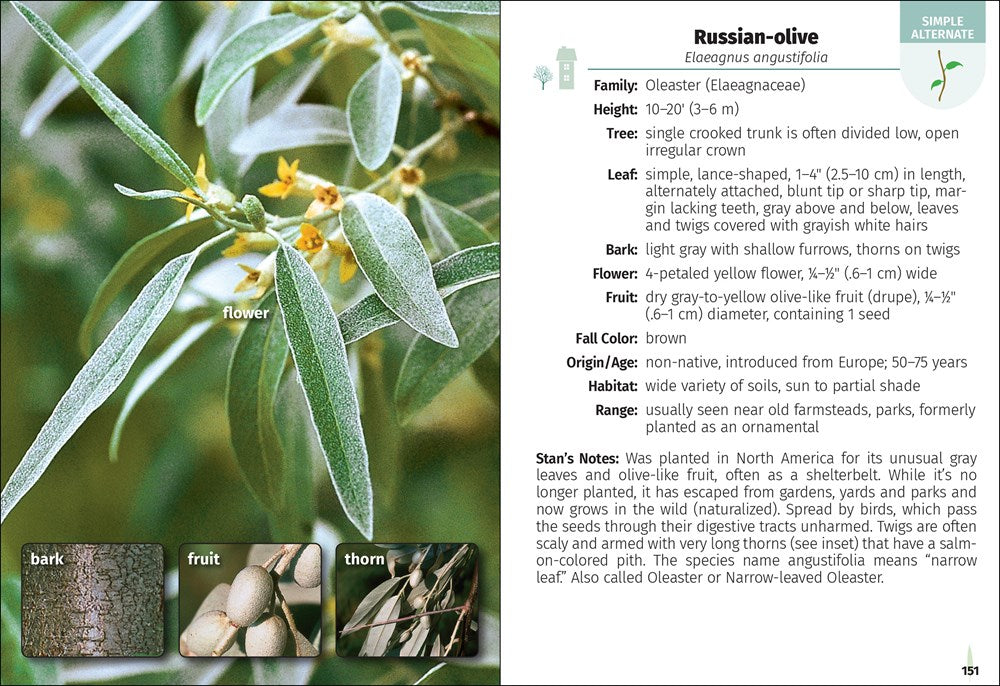 Trees of the Carolinas Field Guide
