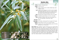 Trees of the Carolinas Field Guide