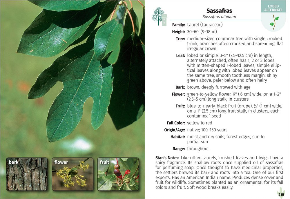 Trees of the Carolinas Field Guide