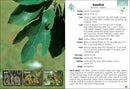 Trees of the Carolinas Field Guide