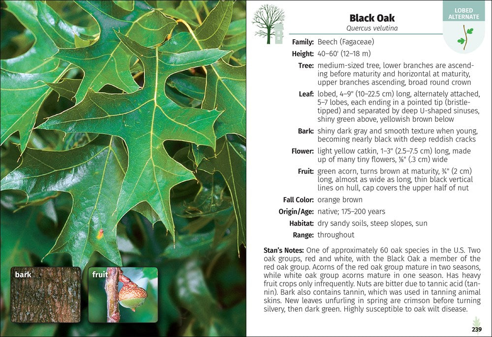 Trees of the Carolinas Field Guide