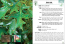 Trees of the Carolinas Field Guide