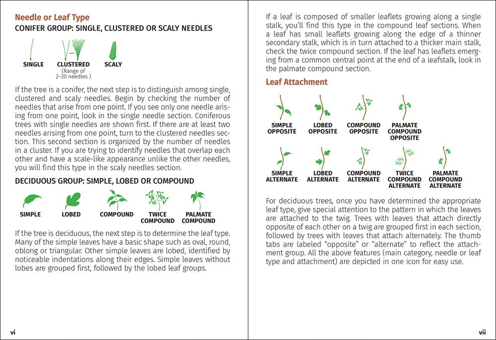 Trees of the Carolinas Field Guide