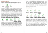 Trees of the Carolinas Field Guide