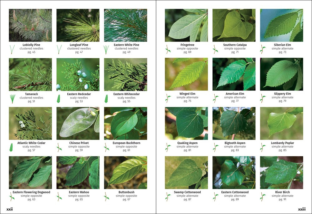 Trees of the Carolinas Field Guide