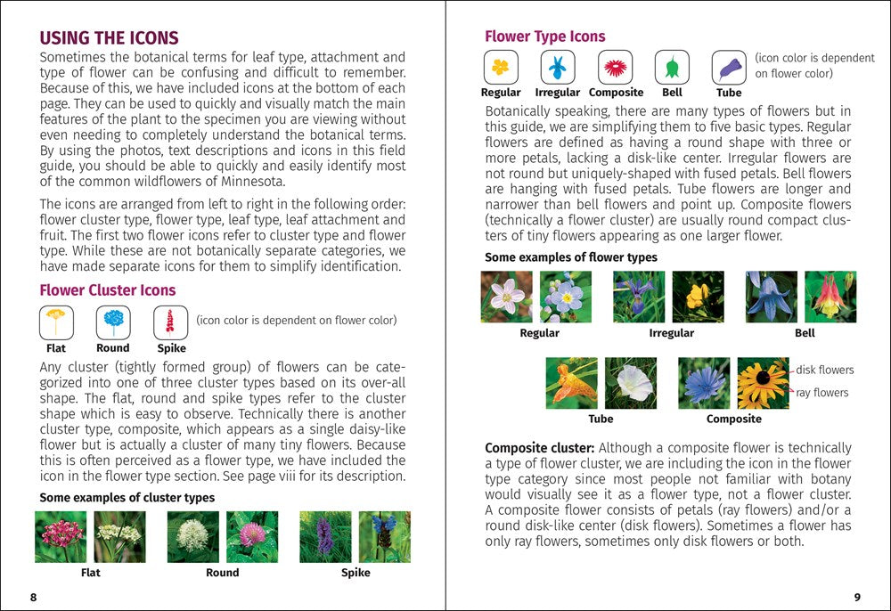 Wildflowers of Ohio Field Guide