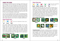 Wildflowers of Ohio Field Guide