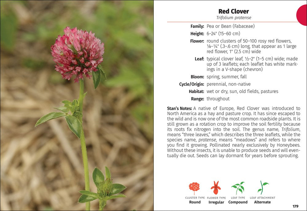 Wildflowers of Ohio Field Guide