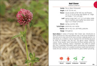 Wildflowers of Ohio Field Guide
