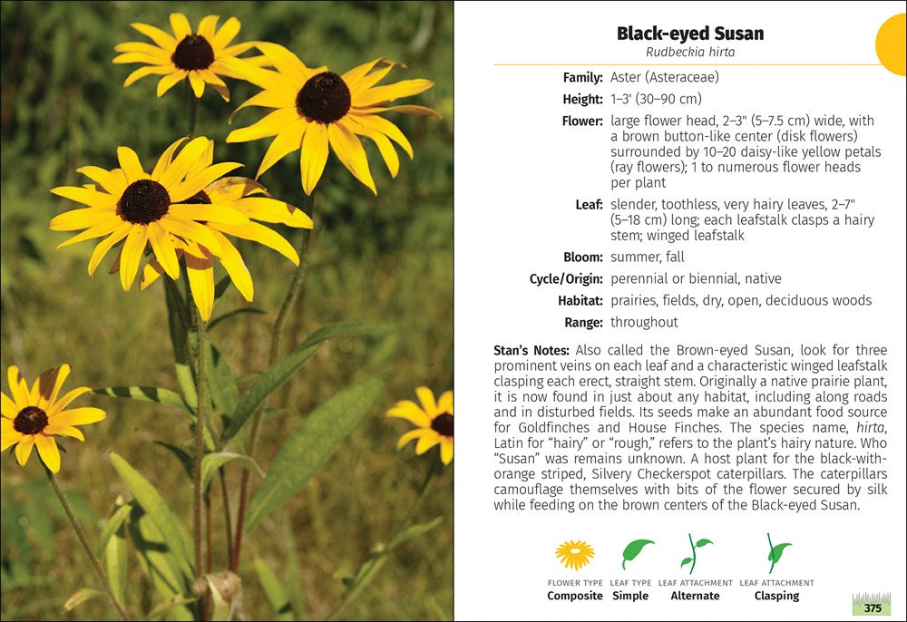 Wildflowers of Ohio Field Guide