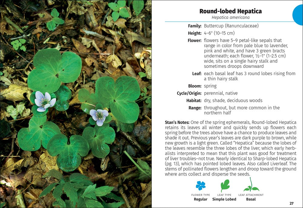 Wildflowers of Ohio Field Guide