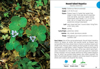 Wildflowers of Ohio Field Guide
