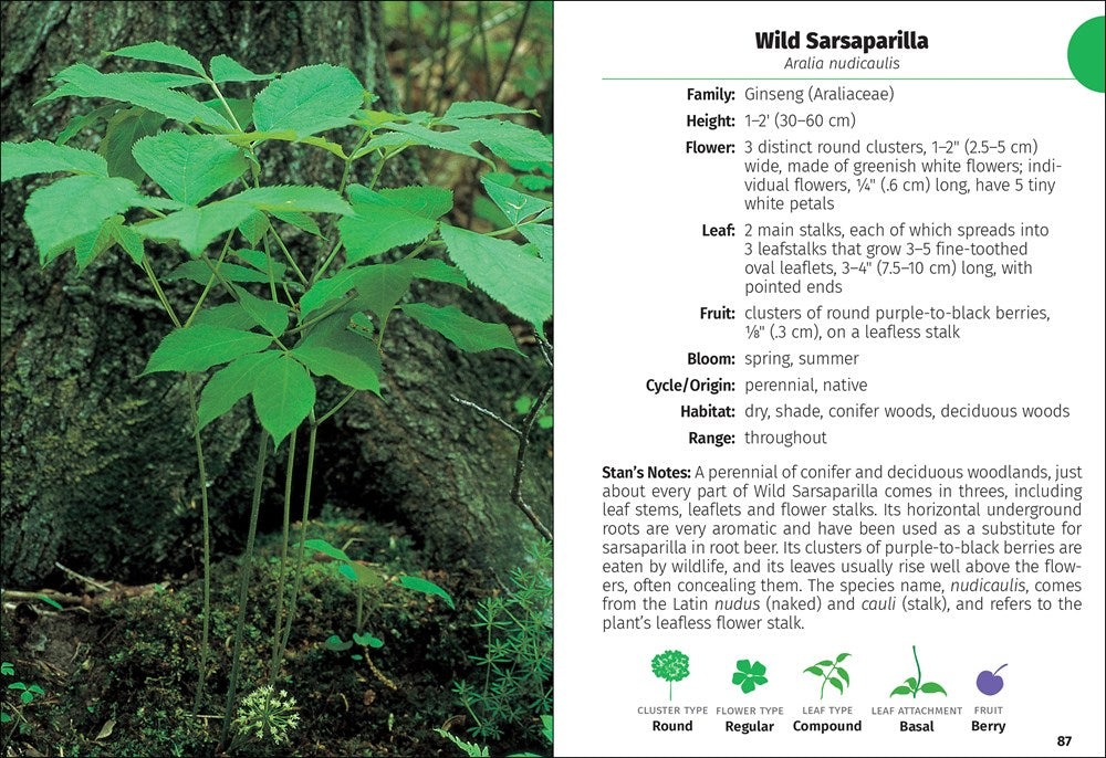 Wildflowers of Ohio Field Guide