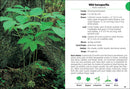 Wildflowers of Ohio Field Guide