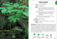 Wildflowers of Ohio Field Guide
