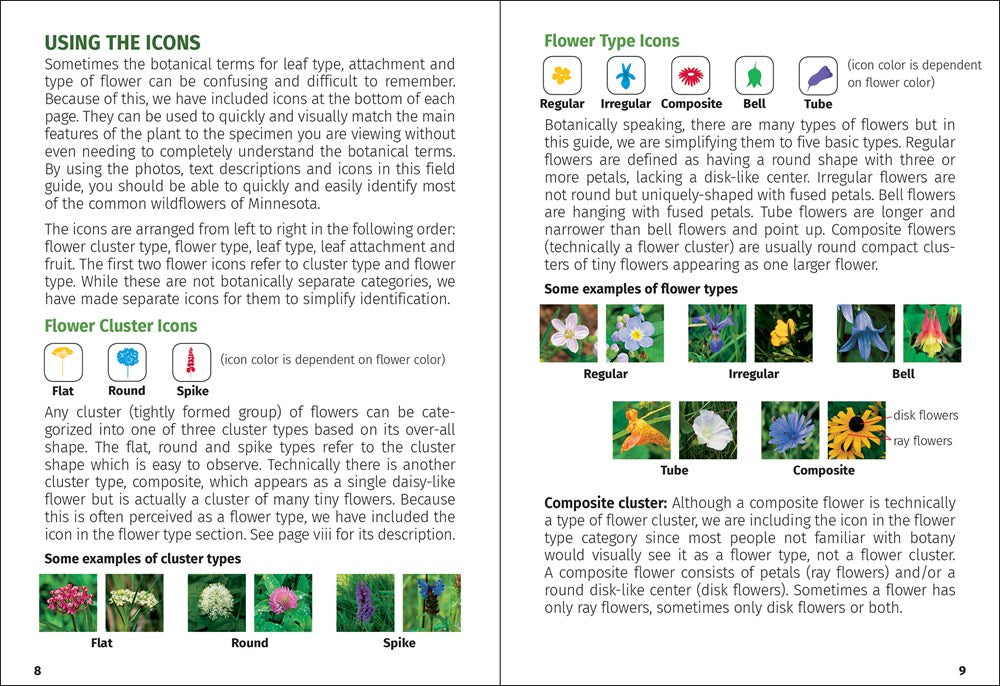 Wildflowers of Wisconsin Field Guide