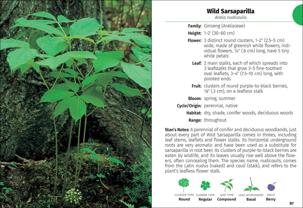 Wildflowers of Wisconsin Field Guide