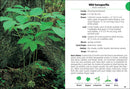 Wildflowers of Wisconsin Field Guide