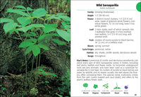 Wildflowers of Wisconsin Field Guide
