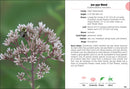 Wildflowers of Wisconsin Field Guide