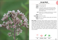 Wildflowers of Wisconsin Field Guide